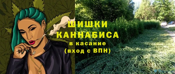 соль ск Абаза
