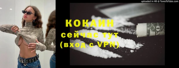 соль ск Абаза