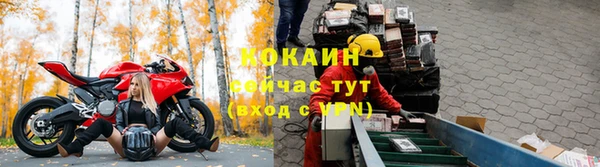 крисы Абдулино