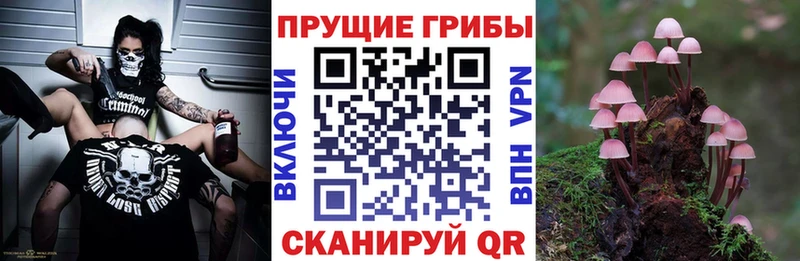 наркошоп  Касли  Псилоцибиновые грибы ЛСД 